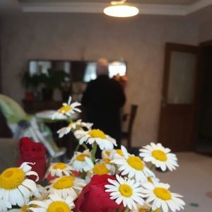 Meet your Posher, Nevi